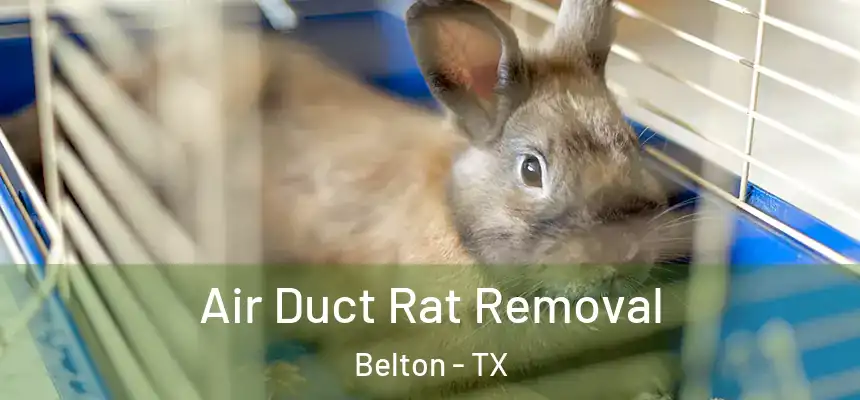Air Duct Rat Removal Belton - TX