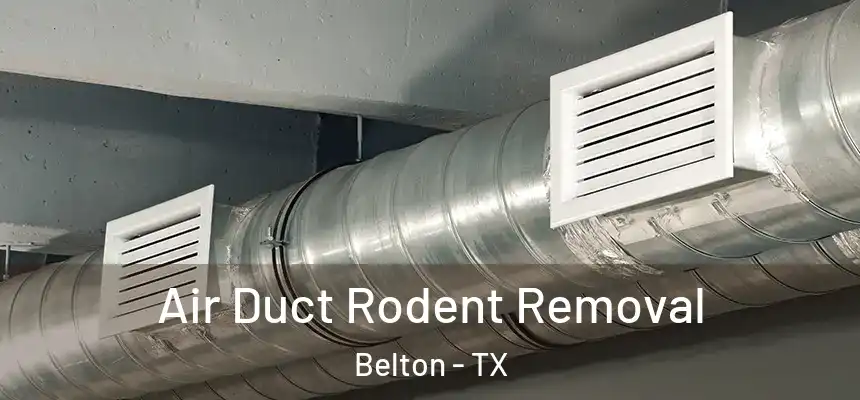 Air Duct Rodent Removal Belton - TX