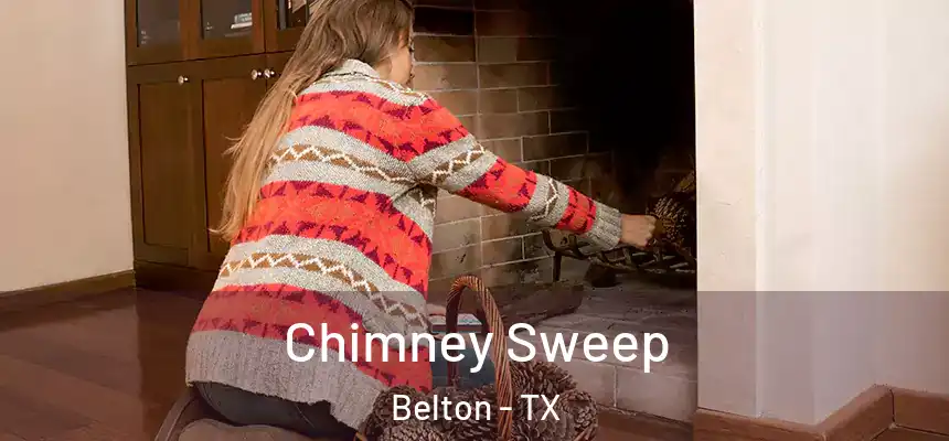 Chimney Sweep Belton - TX