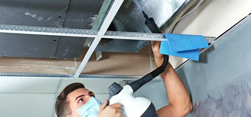 Our Air Duct Rodent Removal Services in Belton, TX