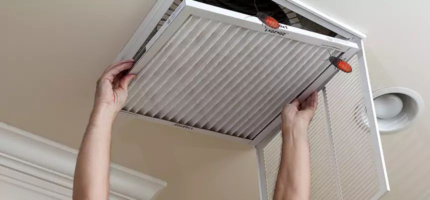 Our Insect Removal from Air Ducts Services in Belton, TX