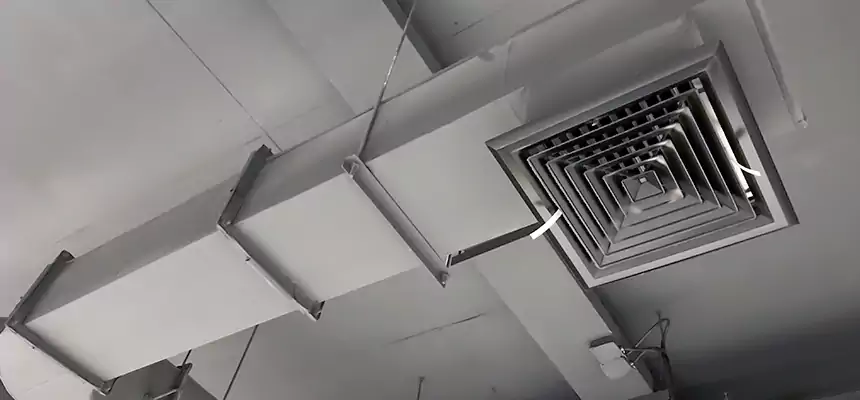 Our Pest Removal From Ducts Services in Belton, TX