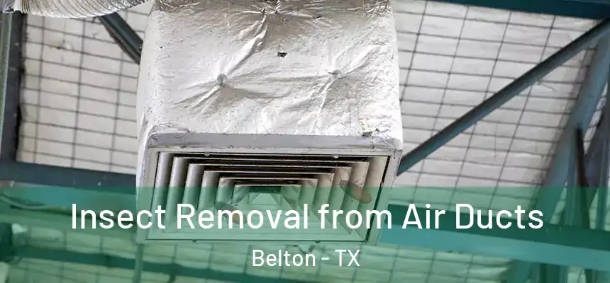 Insect Removal from Air Ducts Belton - TX
