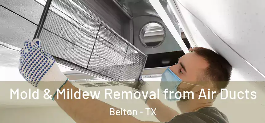 Mold & Mildew Removal from Air Ducts Belton - TX