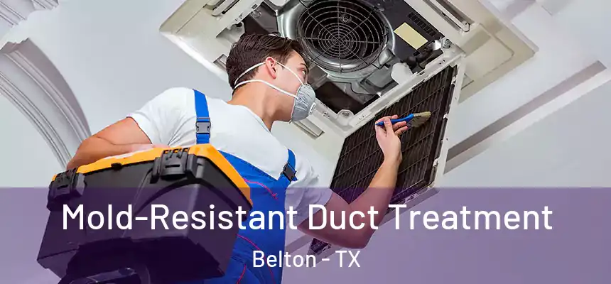 Mold-Resistant Duct Treatment Belton - TX