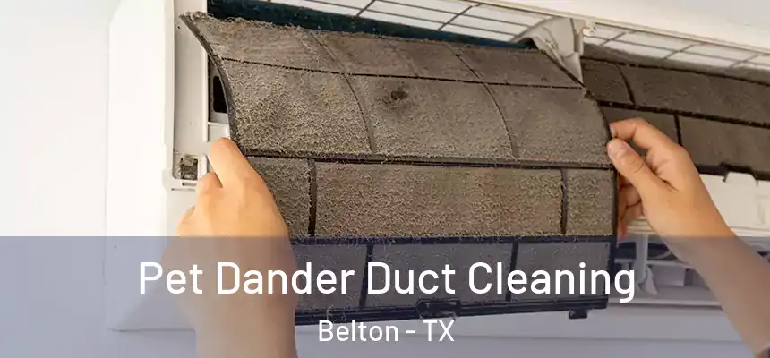Pet Dander Duct Cleaning Belton - TX