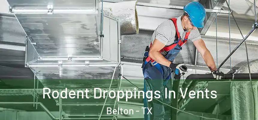 Rodent Droppings In Vents Belton - TX