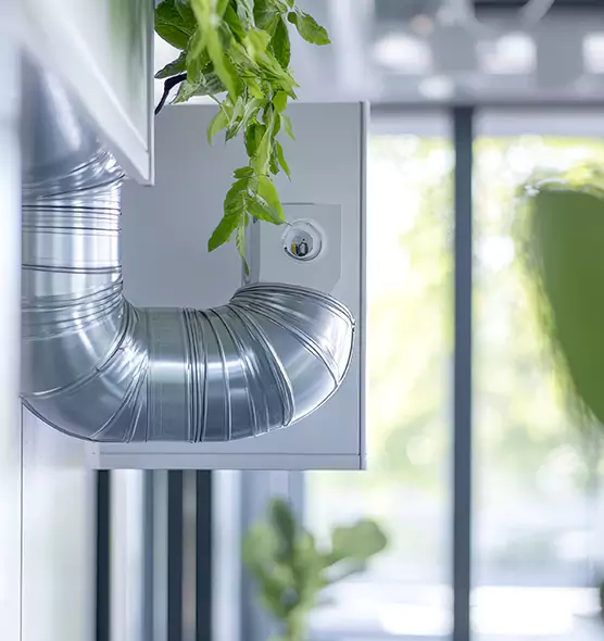 Professional Eco-Safe Dryer Vent Cleaning in Belton, TX