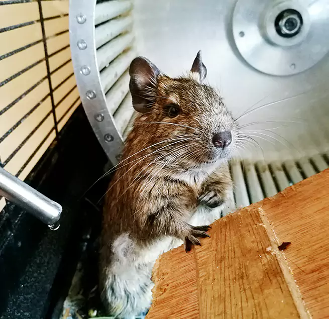 Why Homeowners & Businesses Trust Us Belton, TX?