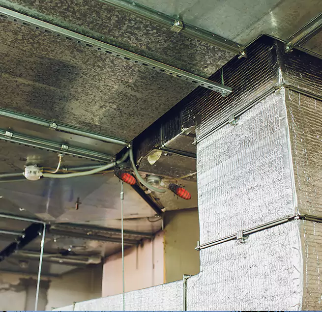 Why Homeowners & Businesses Trust Us Belton, TX?