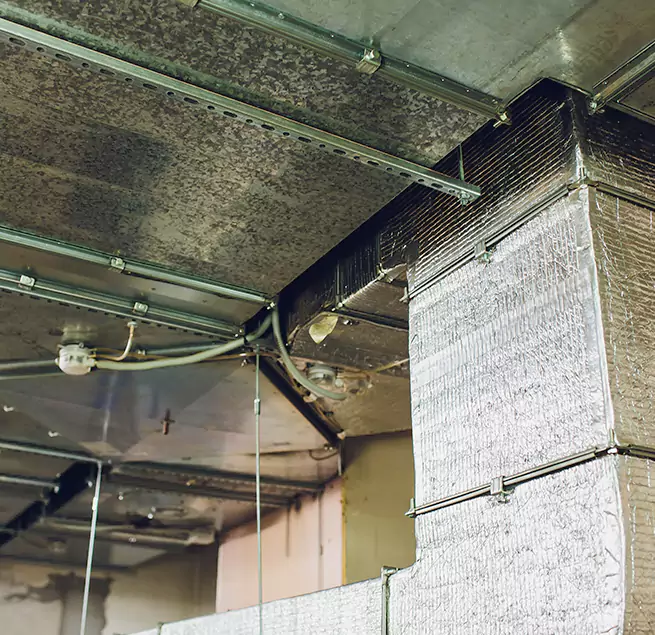 Why Homeowners & Businesses Trust Us in Belton, TX?