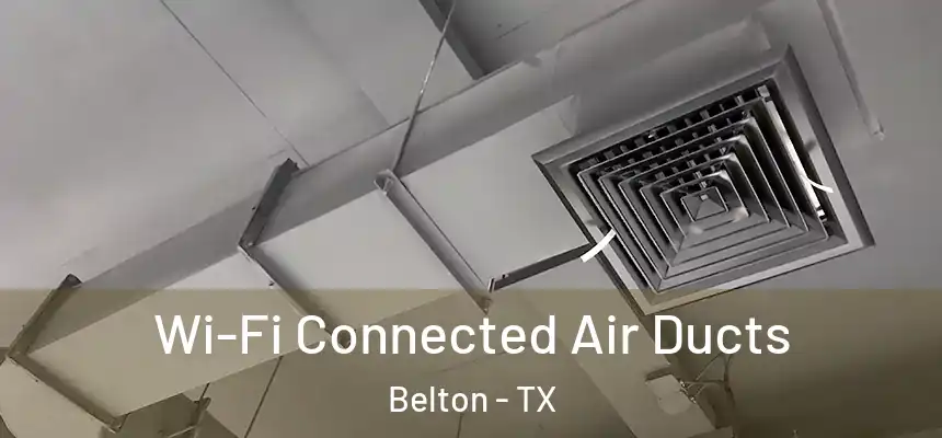 Wi-Fi Connected Air Ducts Belton - TX